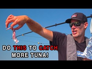 How We Hammer Tuna - Set Up and Walkthrough