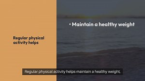 Dog Exercise Routine