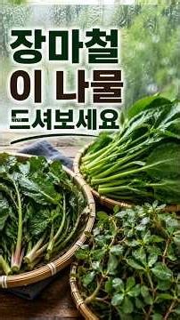 장마철에 더 찾게 되는 나물 3가지, 이유가 있었습니다