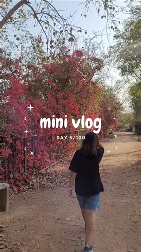 Mini Vlog | A calm day in my life with my Golden Retriever Dexter