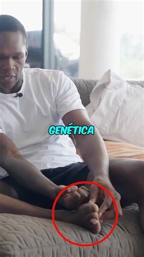 La Ventaja Genética De Alex Pereira! 🗿
