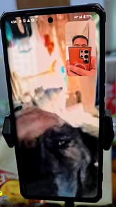 Long distance call with my lalabs 🐕🐕🐕 | Buniknik and Friends