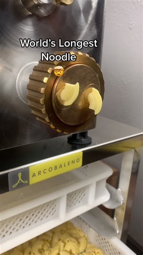 The Legend of the World's Longest Noodle 🍜