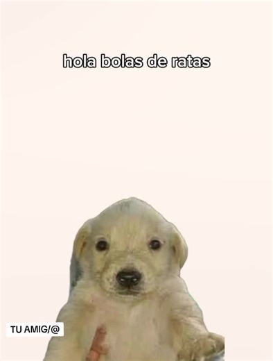 ¡Gran Cometa Tsuchinsan! Observa el Cielo el 16 de Septiembre