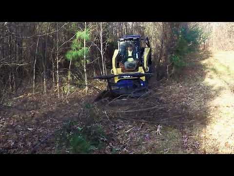Carolina Mulch and Grind clearing underbrush at dawn