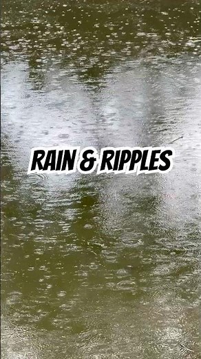 Raindrops Creating Ripples on Pond | Calm Nature Moment 🌧️
