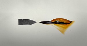 The man-made world is horribly designed. But copying nature helps.