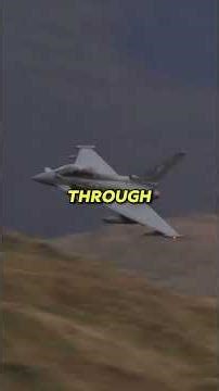 Why does the Typhoon fighter jet have an engine that thinks faster than its pilot? #usarmy