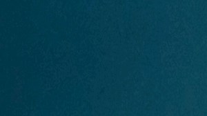 第一章：什么是ASD和作业疗法（一）