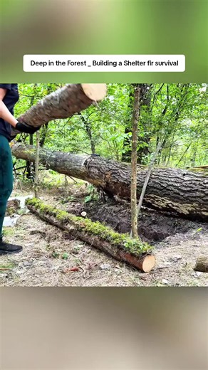 Deep in the Forest _ Building a Shelter and Cooking Over Fire #outdoors #solo #bushcrafting #campinglife #survival