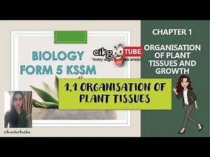 BIOLOGY KSSM FORM 5 : 1.1 ORGANISATION OF PLANT TISSUES