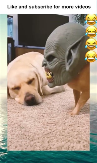 Epic Fails😂🤣 | Part 44 #epicfails #fails #hilariousfails