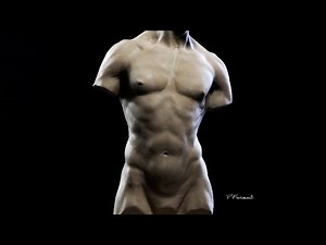Sculpting a Male Torso