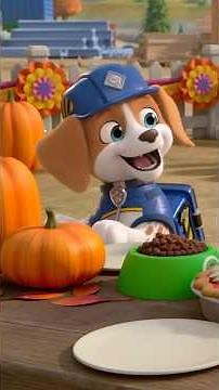 Wheeler welcomes everyone to the feast! #shorts