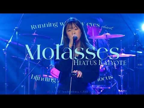 [Live Recorded] Hiatus Kaiyote - Molasses (2026 KAIST 새터 공연)