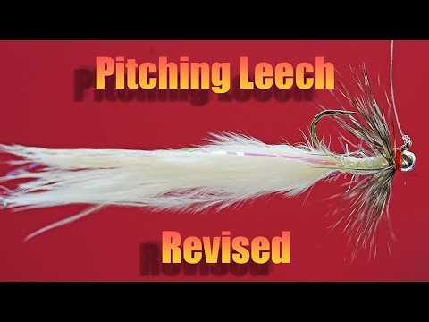 Leech or Baitfish? Tie the Revised Pitching Leech