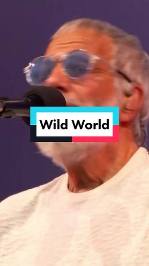 Cat Stevens - Wild World (Live) #yusufcatstevens #70s #live #nagrecallsamusika #foryoupage #fyp #fypシ