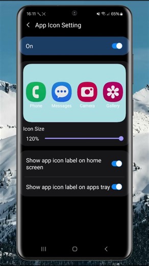 How to Hide App Icon Labels in the Apps Tray on a Samsung Galaxy Phone