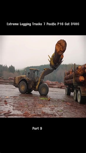 Extreme Logging Trucks 7 Pacific P16 Cat 3406 #extreme #logging #trucks #paciftic