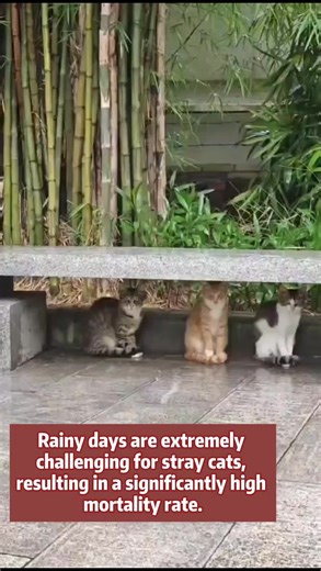 PureAir Nano-Tech - Built-in negative ion generator removes airborne allergens and odors. The HEPA-grade filtration captures 99.97% of dander and dust, creating a cleaner breathing environment.#vagascape