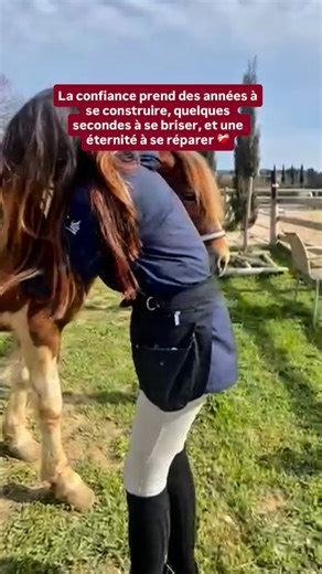 Et quand ton cheval a été maltraité, cette phrase prend une toute autre dimension. ⤵️ Beaucoup de gens pensent que la confiance revient “avec de la patience” ou “avec du temps”. Mais ce n’est pas si simple. Un cheval qui a été blessé… ne guérit pas seulement de ce qu’il a vécu. Il doit réapprendre le monde, réapprendre l’humain, réapprendre ce que signifie être en sécurité. Et toi aussi, tu dois réapprendre. 👉 Ralentir. 👉 Observer. 👉 T’adapter à un système nerveux qui a appris à survivre, pas