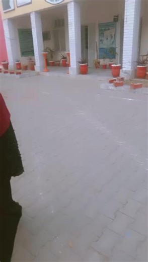 Hilarious Moments of Randomness