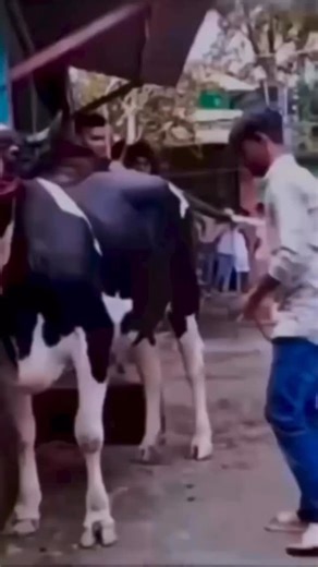 아아얏 아아얏 아야💥 (🎥 by 01즈) ITZY 3RD WORLD TOUR in SEOUL 📅 2026.02.13 - 2026.02.15 @ JAMSIL INDOOR STADIUM #ITZY #MIDZY #ITZY_TUNNELVISION #ITZY_TNVS #ITZY_WORLD_TOUR | ITZY