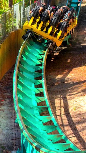 Best Busch Gardens sit-down roller coaster in Florida