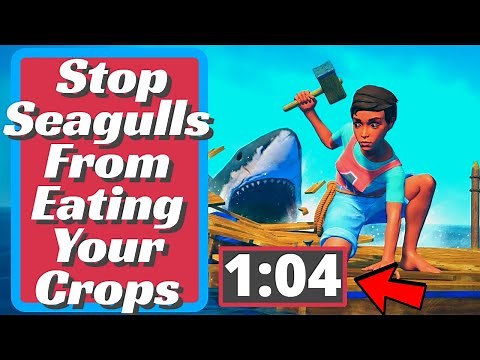 Raft - How To Stop Seagulls From Eating Your Crops