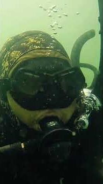 Dive computer Suunto zoop novo safety stop #shorts #shortsvideo #diving