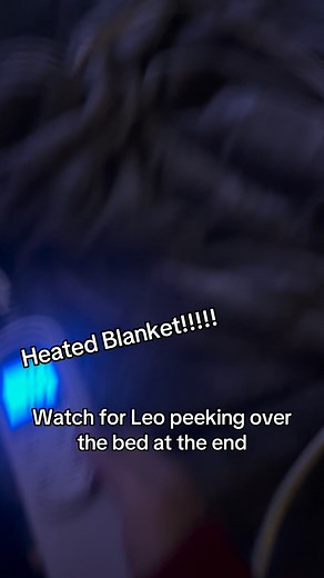 I know where I’ll find cha cha all winter long. #HeatedBlanket #stayingwarm #catsoffacebook #cats | Holly Chester