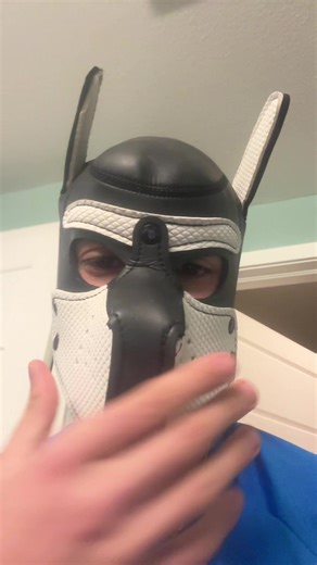 What do you call a blind dinosaurs dog? A do-you-think-he-saurus Rex #gay #pupplay #fyp #fun #fun