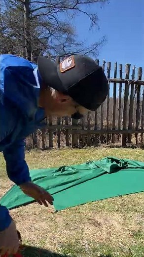 Gunyah Tarp Shelter #Shorts