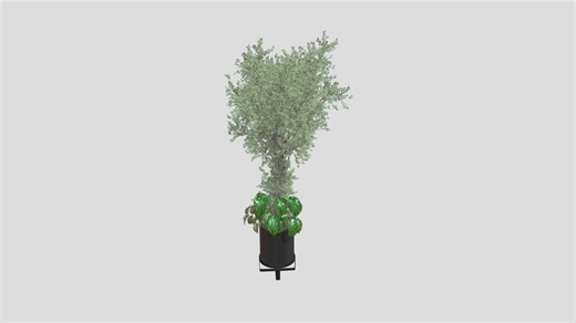 Sculpted Indoor Green Tree - 3D model by ripocabing1976