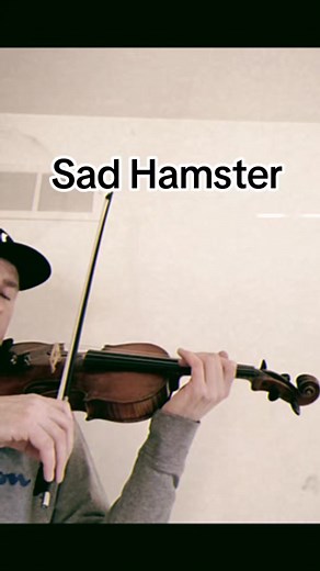 Triste Hamster: Meme Musical
