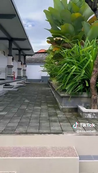 KOS TAMAN EXCLUSIVE 📍Jl. Kenyeri III, Gang Taman Baru, Denpasar Info/Contact: Whatsapp #kos #kosanbali #kosdenpasar #kosandenpasar #kosan #kosbali #fyp