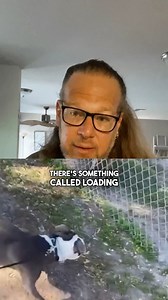 If you’re working with reactive dogs, you need to understand what LOADING is 👀 Most people say “the dog reacted with NO signs at all!” But there’s always a sign. It’s subtle sometimes, but it’s there. The precursor to the reaction is typically 1 of 3 things: 👉a change in breathing 👉a change in posture (chest out, ears up) 👉a hard stare with intent behind it We pay attention to the dogs body language a LOT, especially when they’re explosive 🧨 We get comments often questioning why we correct 