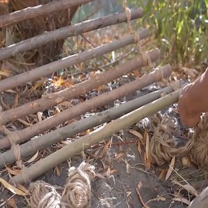 101K views · 3.1K reactions | Man survives on deserted island using primitive traps to catch fish. | Myles Erlick | Facebook