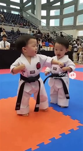 70만, 아이들 태권도 시합 #sora2 #baby #cute #ai #funny