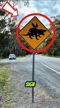 What Happens If You See This Dinosaur Warning Sign in Jurassic Park? 🦖⚠️