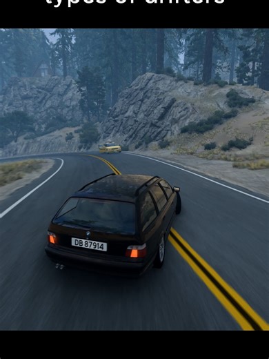 BeamNG: The Ultimate Simulation Experience