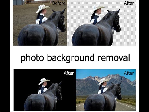 Professional Image Background Removal & PNG Conversion | Transparent Background, Instant Digital Service - Etsy