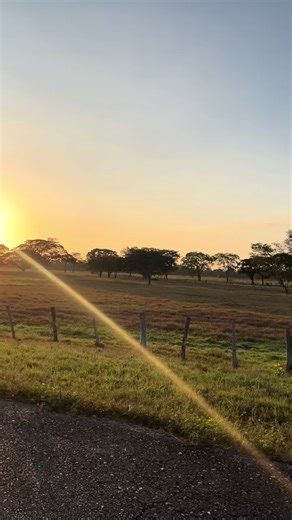 Explorando la Falacia en los Viajes