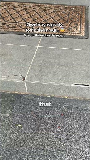 Porcelain Outdoor Tile Crack Repair | Damaged Tiles Restored To New Look
