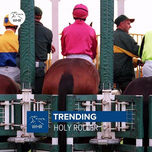 883K views · 659 reactions | You won't believe the size of this racehorse  He was a winner too 磊 | World Horse Racing | Facebook