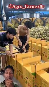 Efficient Durian Packaging: Mastering the Tape Gun Technique