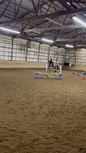 ⭐️⭐️ #horse #mylitlepony #fypviralシ #fyp #fypシ゚viral #equestrian #cute #pony #horsefan #jump