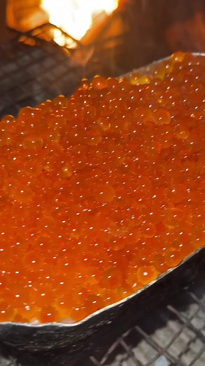 いくら丼さいこう #bbq #salmon #さけ | sumibi club fart