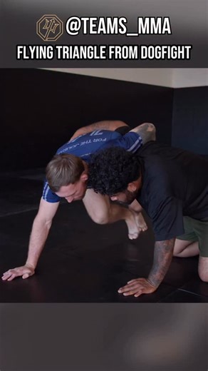 TEAMS MMA on Instagram: "🥋 Flying Triangle from Dogfight Coach Bobby Winther breaks down how to hit a flying triangle from the dogfight position — not as a highlight move, but as a controlled, repeatable technique. • Opponent is wrestling up without owning the leg • Outside foot high on the back to keep weight down • Kick the leg through and immediately control the head • Lock the ankles first, then adjust angle for the finish • Underhook the arm or switch the leg to seal it Clean setup. Tight 