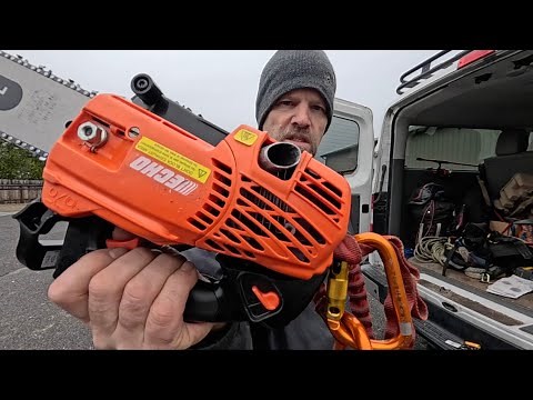 “Echo 2511 Chainsaw in Action: Climbing, Limbing, and Topping a Pine Tree”